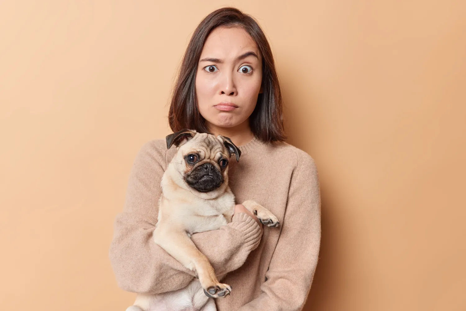 The Pet Friendly Lie: How to Spot Fake Pet Friendly Hotels