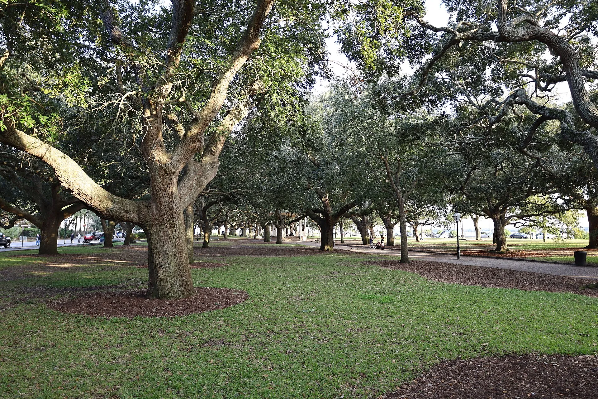 Live oaks spreading over the lawns and paths of White Point Garden at the tip of the Charleston peninsula