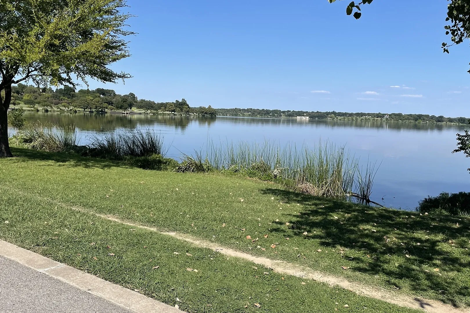A grassy shoreline path beside White Rock Lake in Dallas under a clear blue sky