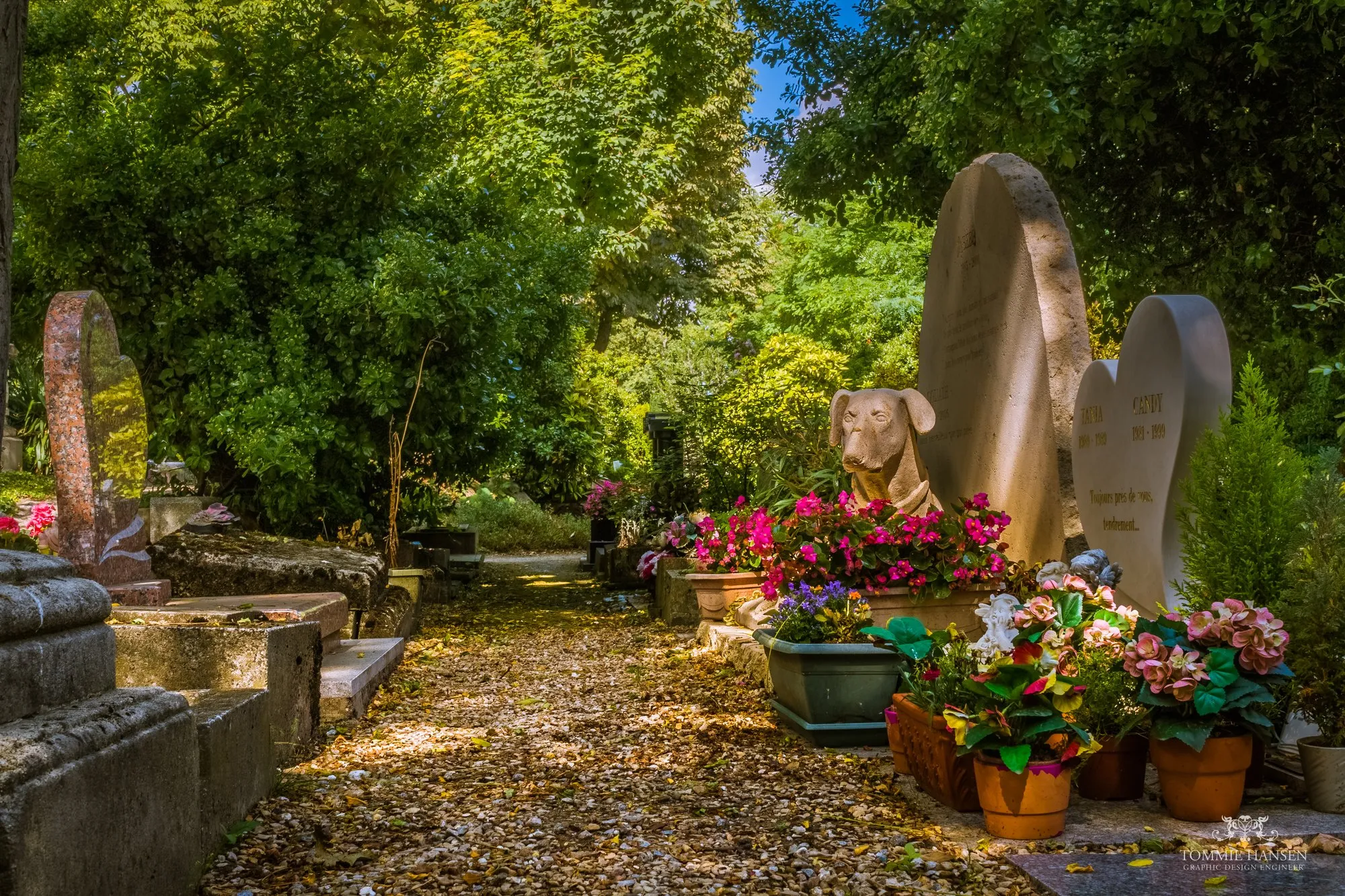 Graves and a stone dog statue among flowers on a leafy path at the Cimetière des Chiens in Asnières-sur-Seine
