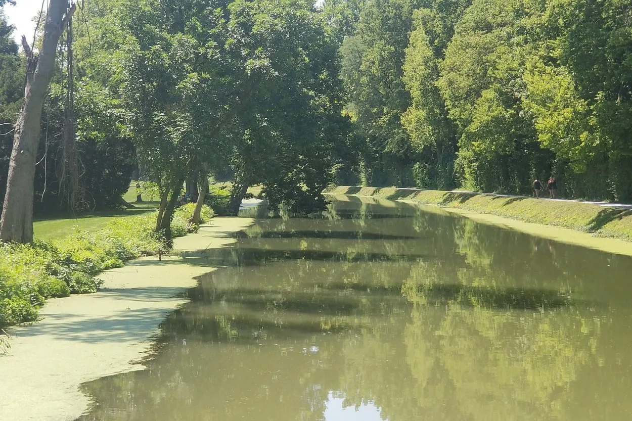 The Central Canal in Indianapolis on a summer day, still green water under tall trees with two walkers on the towpath along the right bank