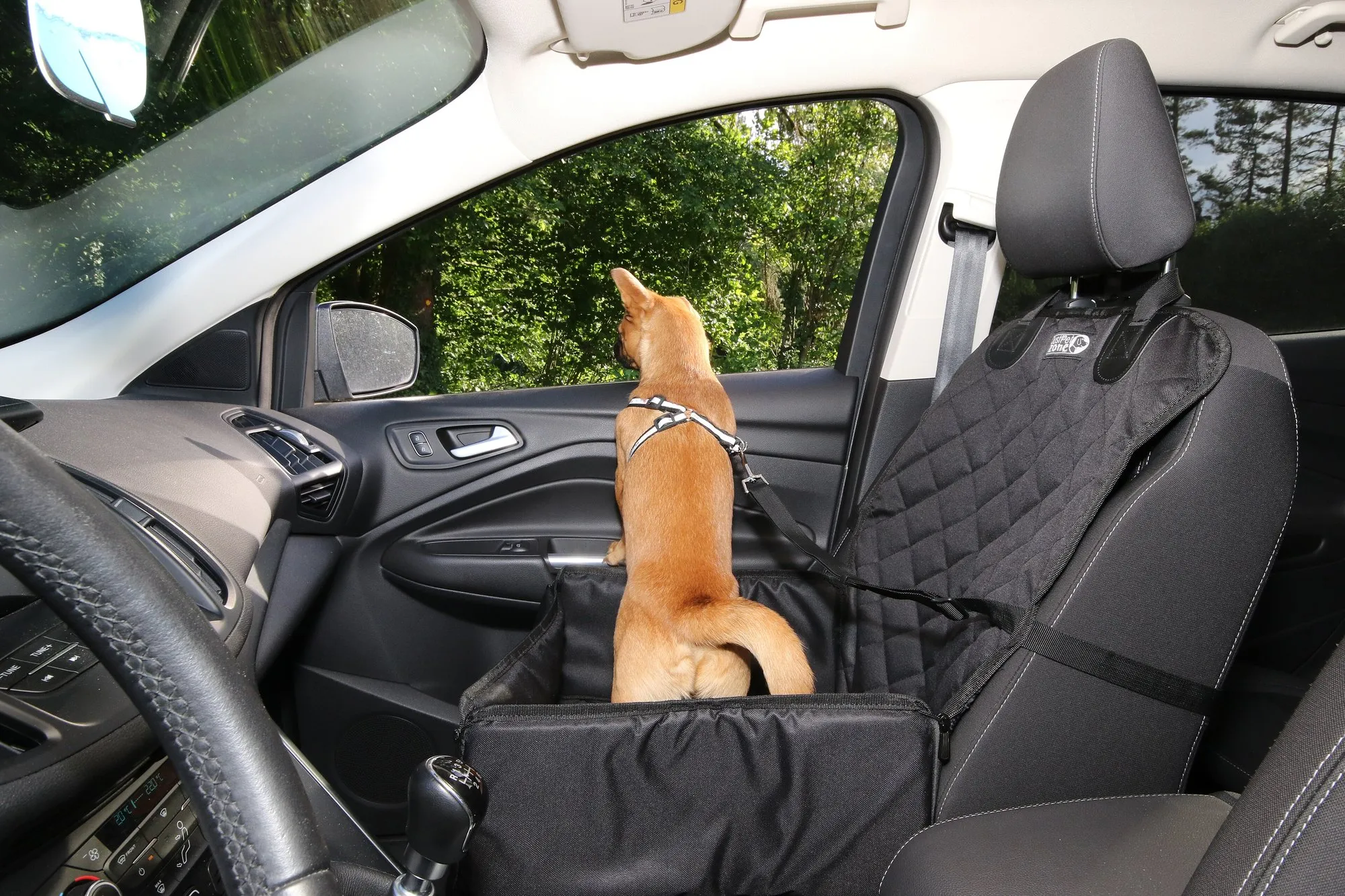 A small tan dog in a harness on a car seat, looking out of the open passenger window