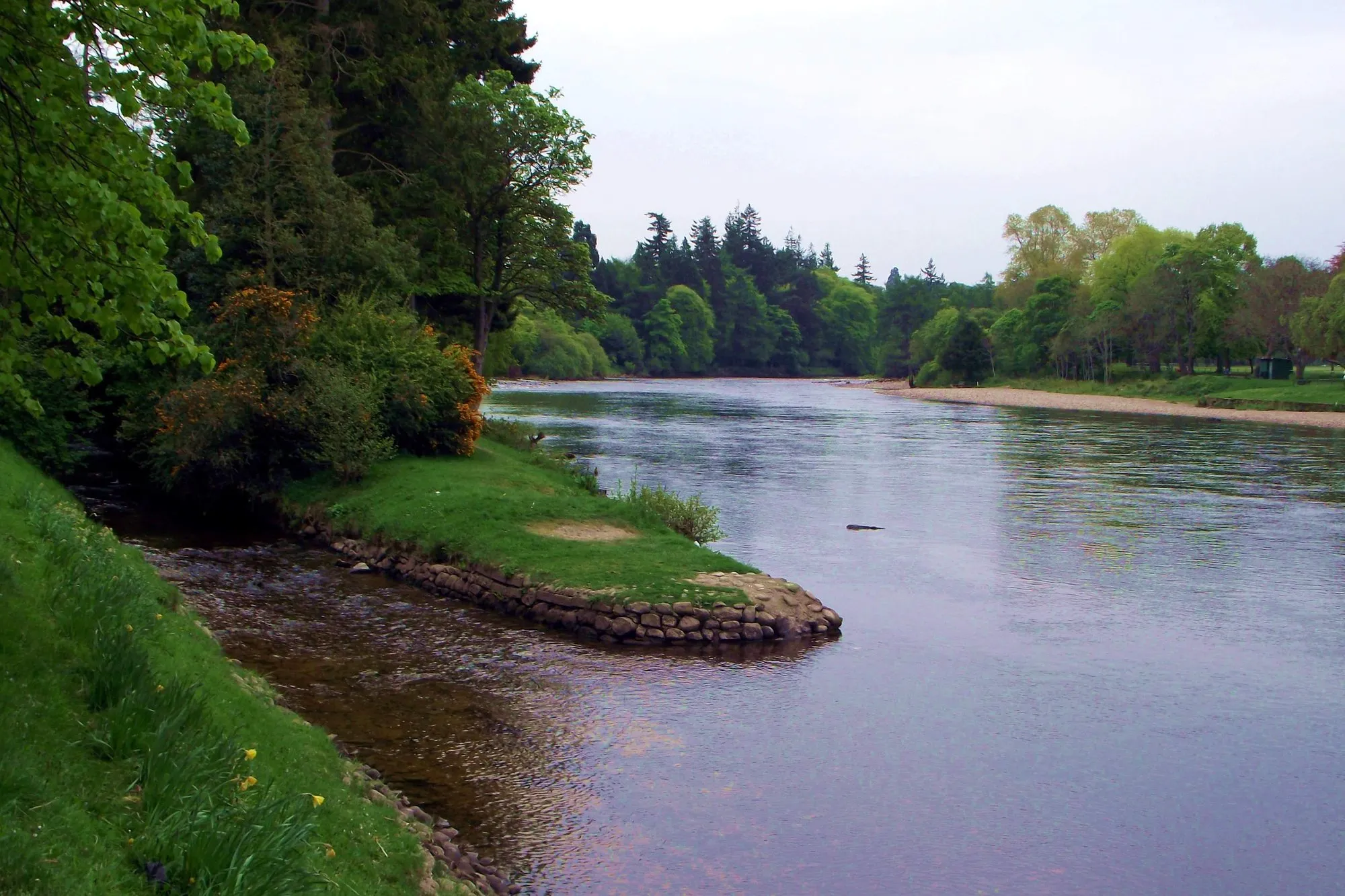 The River Ness flowing past grassy banks and tall trees at the Ness Islands in Inverness, with a stone edged inlet in the foreground