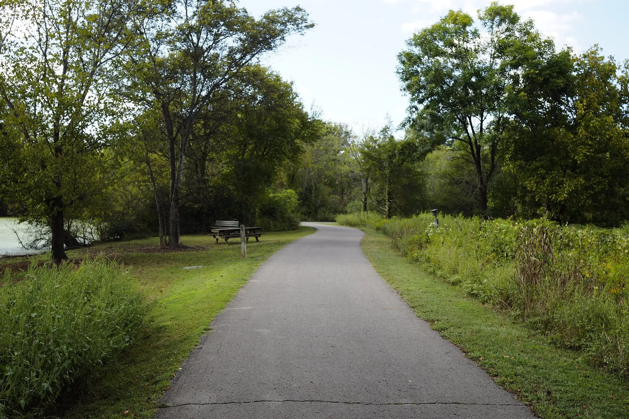 A paved greenway path curving between trees and meadow beside a pond in Shelby Bottoms, Nashville
