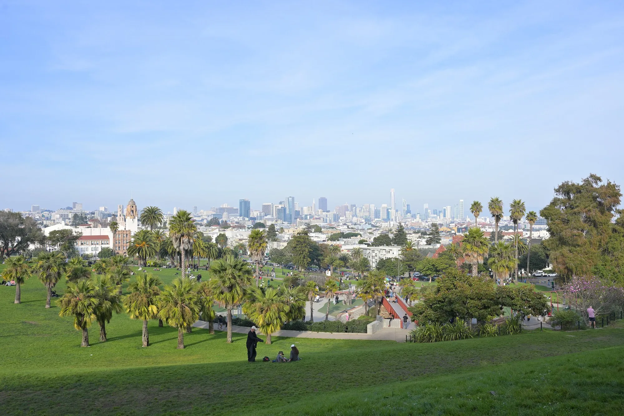 Green lawns and palm trees sloping down Mission Dolores Park towards the downtown San Francisco skyline under a blue sky