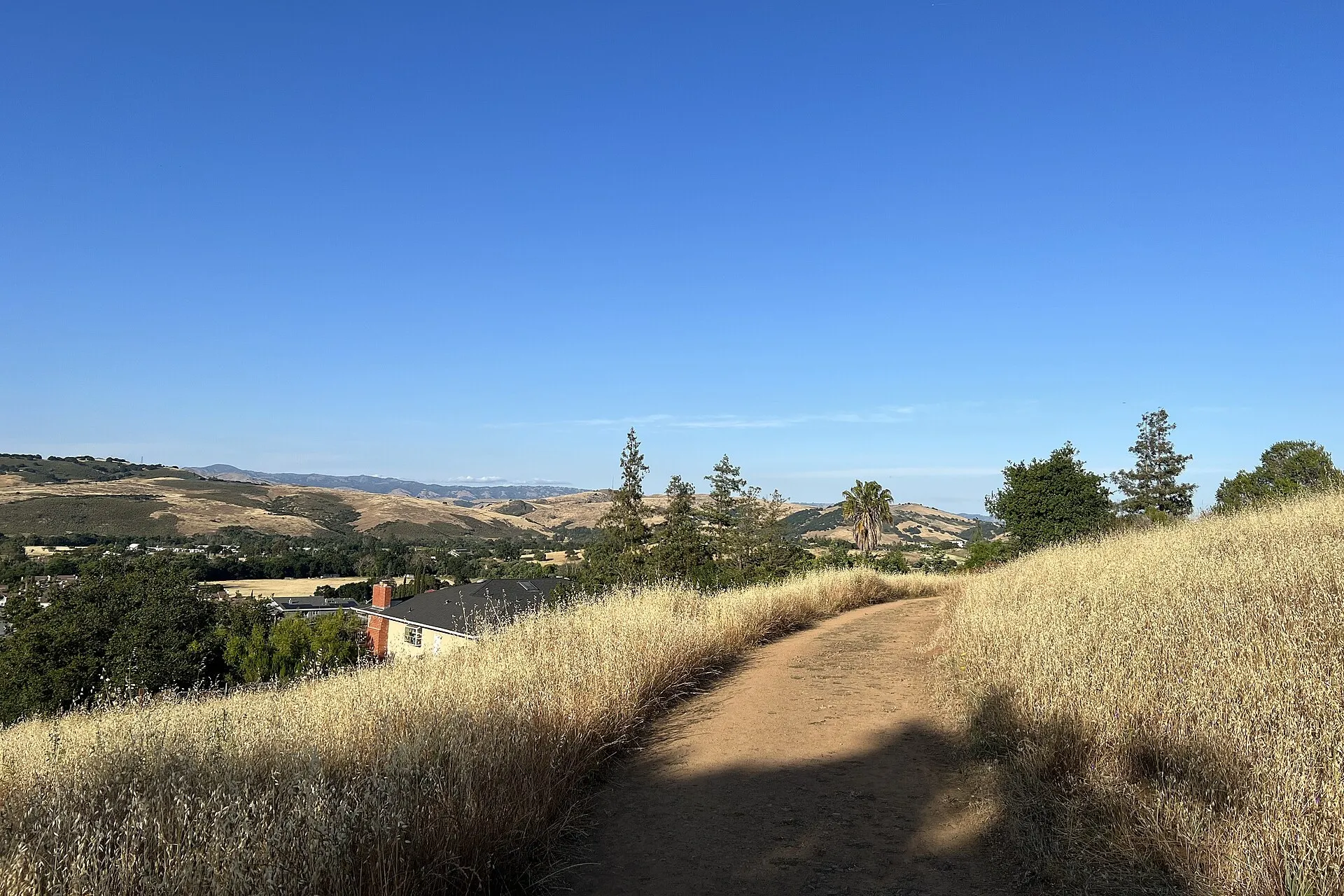 A dirt trail through golden grass on a ridge in Almaden Quicksilver County Park, with hills beyond