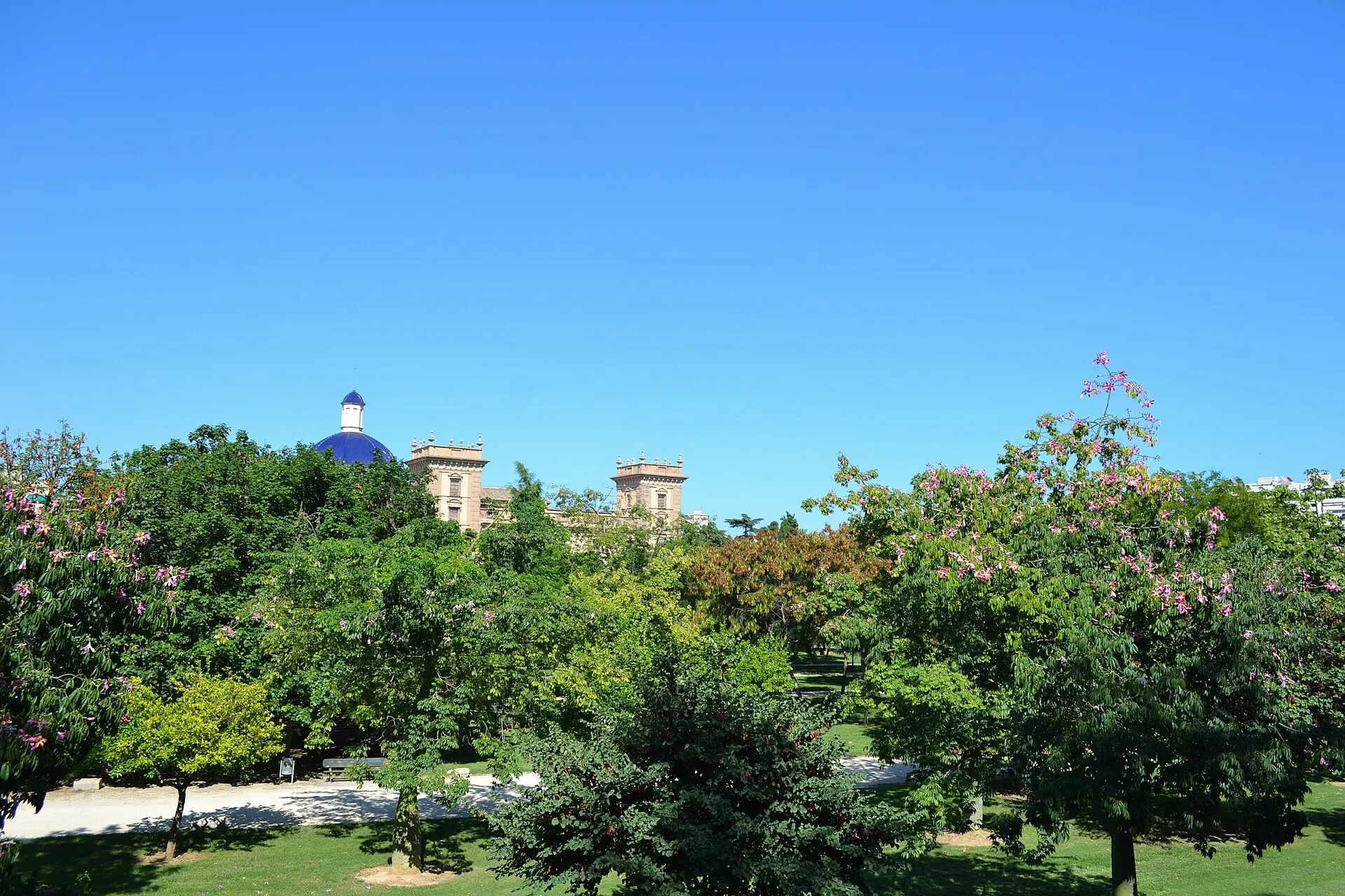 Lawns, paths and flowering silk floss trees in the Jardí del Túria, Valencia, with the blue tiled dome of the Museu de Belles Arts beyond