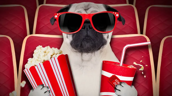 Leisure Industry Canine Inclusiveness: Dog Friendly Cinemas Trending Globally