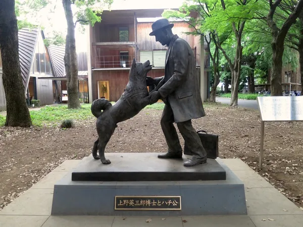 Hachi Turns 100: The Story Of The Worlds Most Loyal Dog