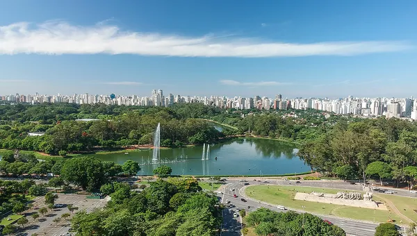 Dog Friendly City Guide: São Paulo, Brazil