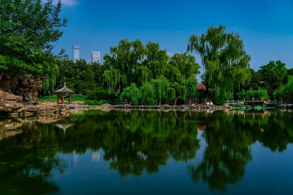 Dog Friendly City Guide: Beijing, China
