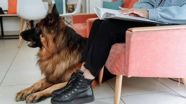 a German Shepherd sitting at the foot of a woman reading Braille