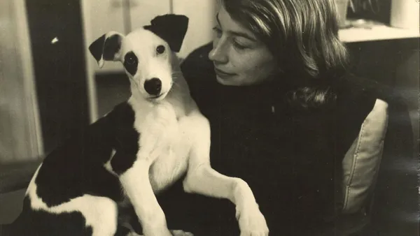 What 'Dog Songs' Tells Us About Love, Loss, and Loyalty