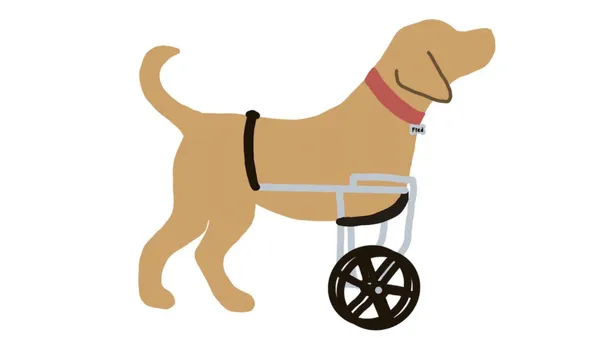 A Dog Named Fred: The Call to Adopt Differently-Abled Dogs