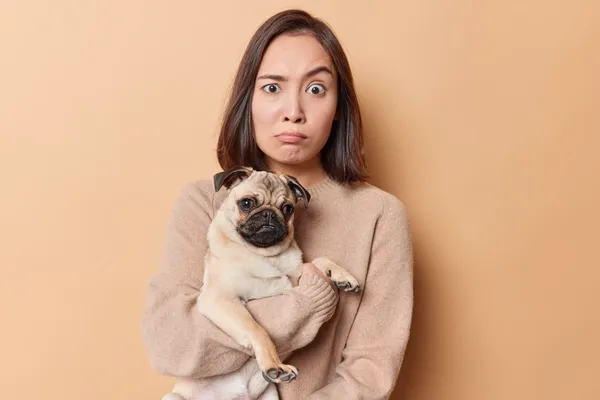The Pet Friendly Lie: How to Spot Fake Pet Friendly Hotels