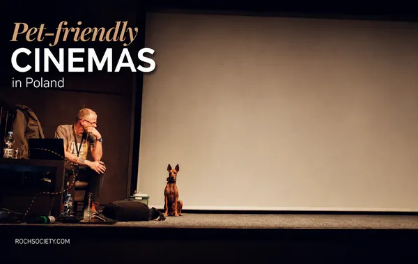 Take your dog to... the movies!