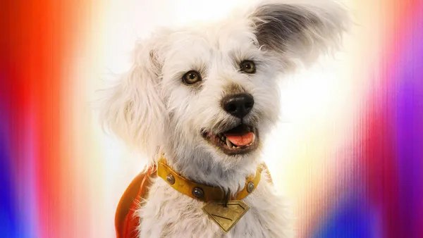 Dog Lovers Will Love Supergirl's Canine Sidekick