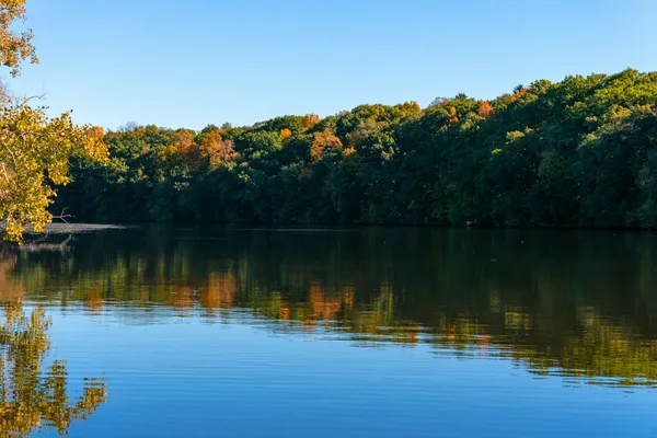 Autumn colour along a wooded riverbank near Ann Arbor, Michigan