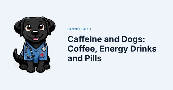 Caffeine and Dogs: Coffee, Energy Drinks and Pills — Kali, Roch Dog's canine concierge, in veterinary scrubs