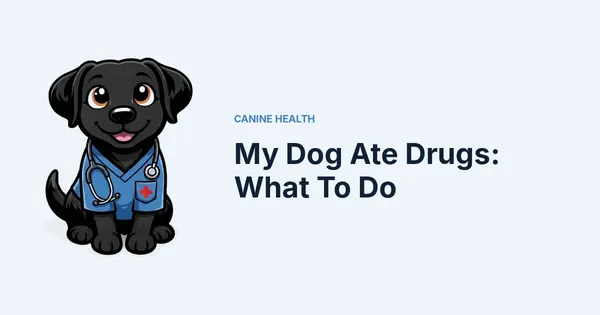 My Dog Ate Drugs: What To Do — Kali, Roch Dog's canine concierge, in veterinary scrubs