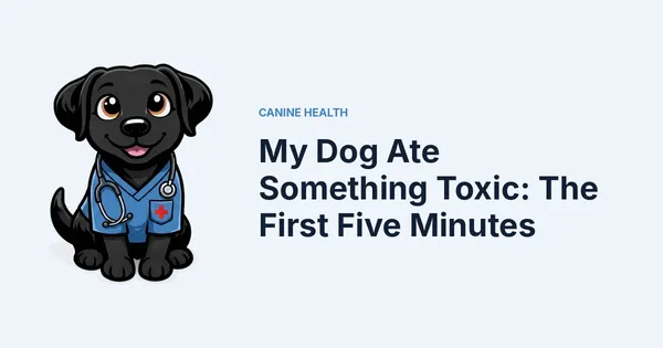 My Dog Ate Something Toxic: The First Five Minutes — Kali, Roch Dog's canine concierge, in veterinary scrubs