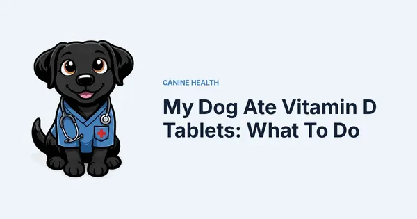 My Dog Ate Vitamin D Tablets: What To Do — Kali, Roch Dog's canine concierge, in veterinary scrubs