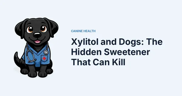 Xylitol and Dogs: The Hidden Sweetener That Can Kill — Kali, Roch Dog's canine concierge, in veterinary scrubs