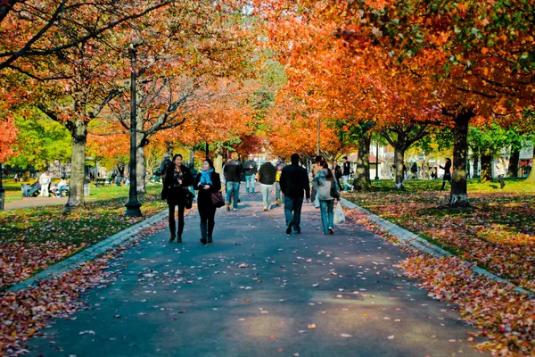 A tree lined path through Boston Common in autumn, with orange leaves overhead and walkers on the path