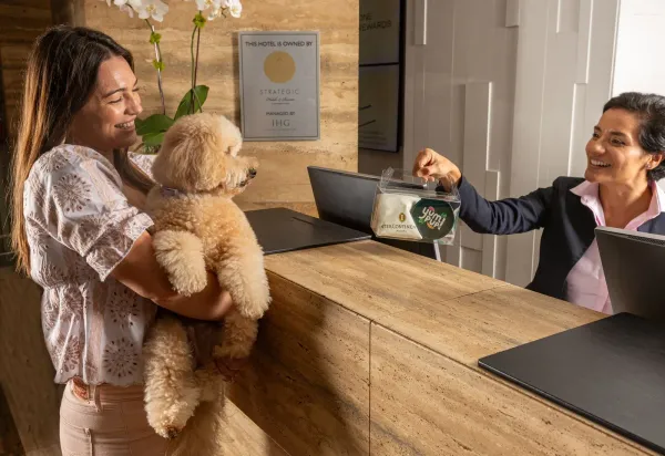 A guest checks in with her poodle at the InterContinental Miami as the front desk offers a treat