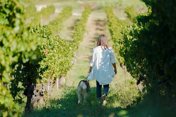 A guest walks a dog between the rows of vines on the Coquillade Provence estate