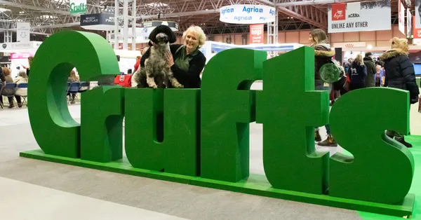 A woman and a curly-coated dog beside giant green letters spelling Crufts in a hall at the NEC