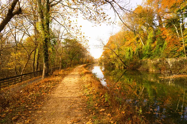 The C&O Canal towpath under autumn trees west of Georgetown, Washington, with the canal reflecting the leaves