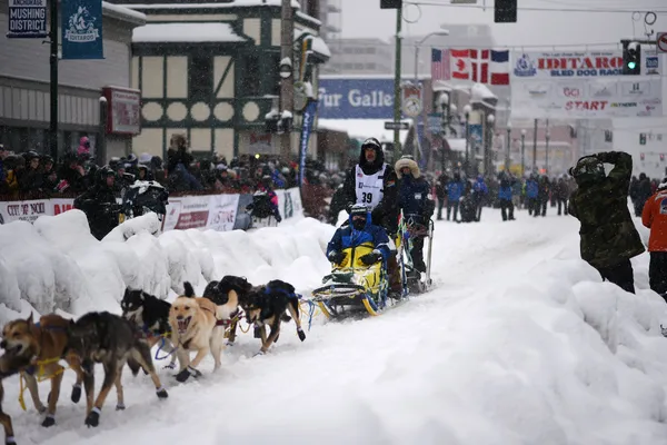 A musher and his sled dog team running down a snow covered Fourth Avenue in Anchorage past crowds and an Iditarod start banner