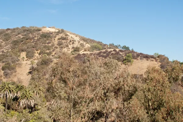The east trail of Runyon Canyon climbing a dry chaparral hillside above palms and eucalyptus in Los Angeles, with walkers on the summit