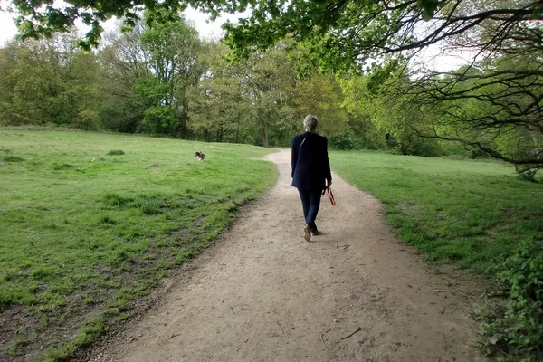 A walker on a dirt path across open grass on Hampstead Heath, with a small dog running on the grass ahead