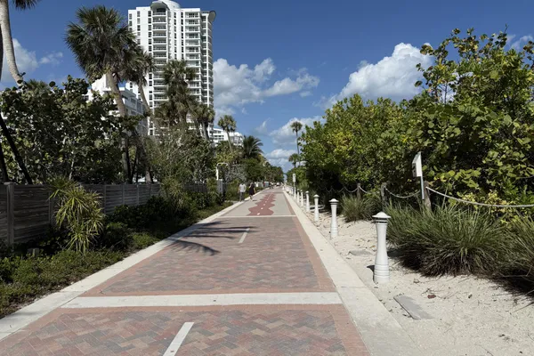 The paved Miami Beach boardwalk running north between sea grape and dune planting under a blue sky