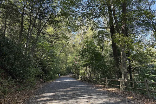 A wide gravel path through tall trees along Forbidden Drive in Wissahickon Valley Park, with a wooden fence on the right