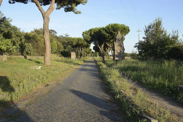 The cobbled Via Appia Antica running straight between umbrella pines and Roman ruins in early evening light