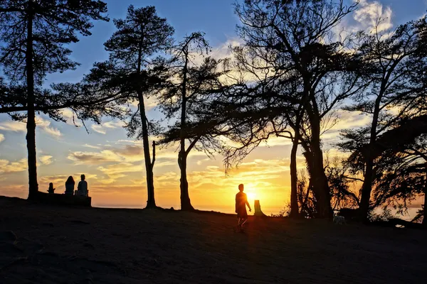People and a small dog silhouetted against the sunset among cypress trees on the clifftop of the Douglas Family Preserve, Santa Barbara