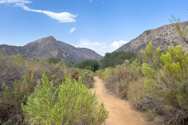 A sandy trail through green chaparral towards rocky peaks under a blue sky in Mission Trails Regional Park, San Diego