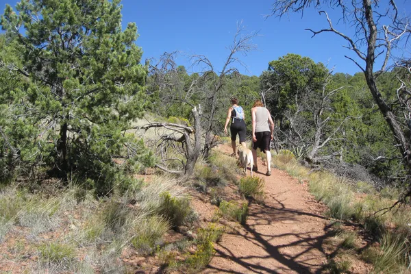 Two walkers and a pale dog climbing a red dirt trail through pinon and juniper on the Dale Ball Trails above Santa Fe
