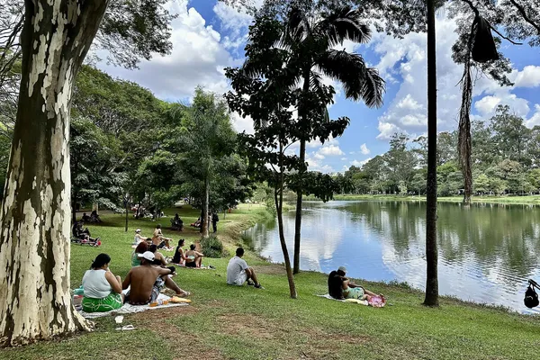 People sitting on the grass under trees and palms beside the lake at Parque Ibirapuera on a sunny day