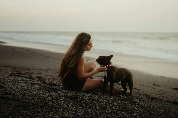 A woman and her French bulldog on a pebble beach in the evening