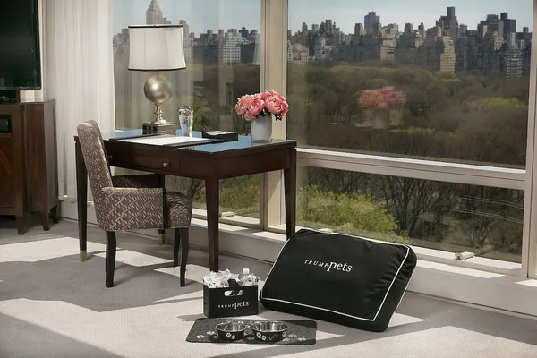 A Trump Pets dog bed and bowls in a room overlooking Central Park at Trump International Hotel & Tower New York