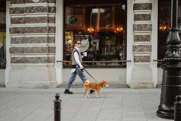 A person walking a dog on a lead in a city street