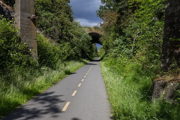 A paved section of the Galloping Goose Regional Trail running between green verges towards a stone bridge in Saanich